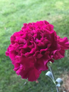 img_3479